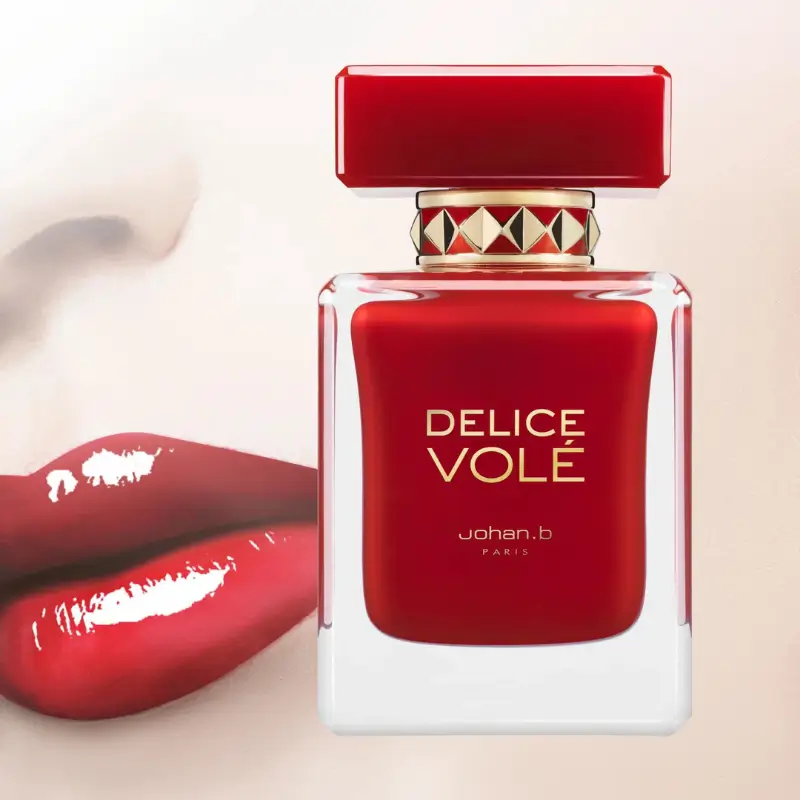 johan b delice vole geparlys
