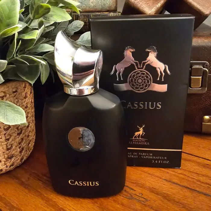 cassius maison alhambra