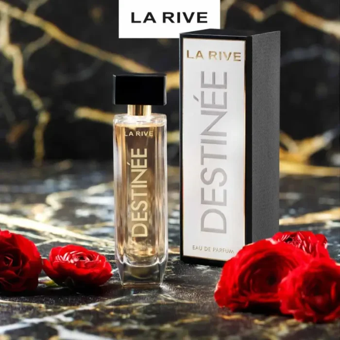 la rive destinee au maroc