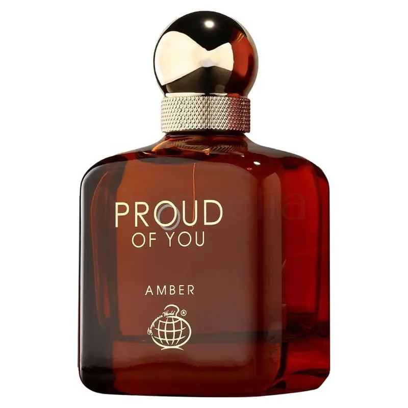 proud of you amber fragrance world Prix au maroc